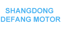 SHANGDONG DEFANG MOTOR 