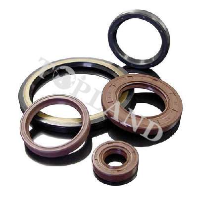 AH36001-04.21 SEAL RING