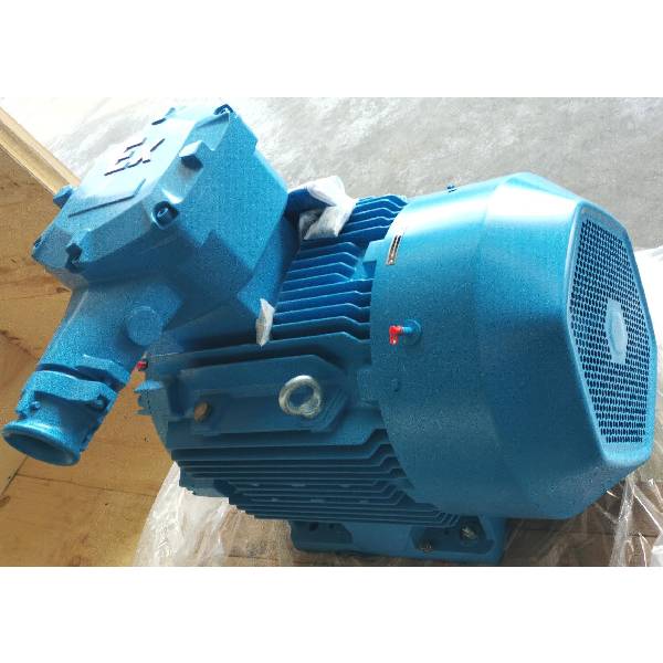 FLAMEPROOF THREE-PHASE INDUCTION MOTOR